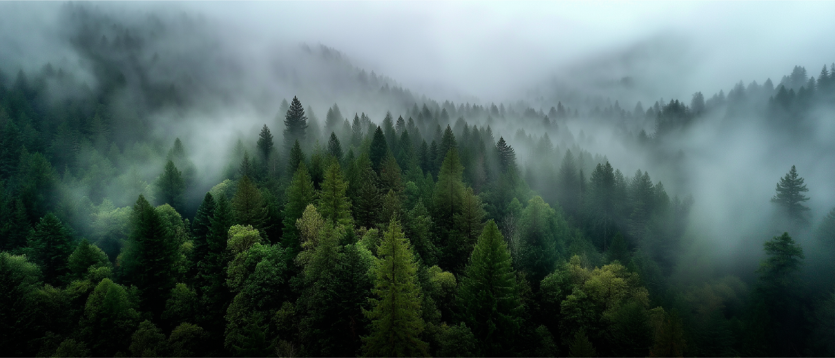 资源 7@2x.png__PID:211d46d8-f890-492d-bfae-4114b096f2c7